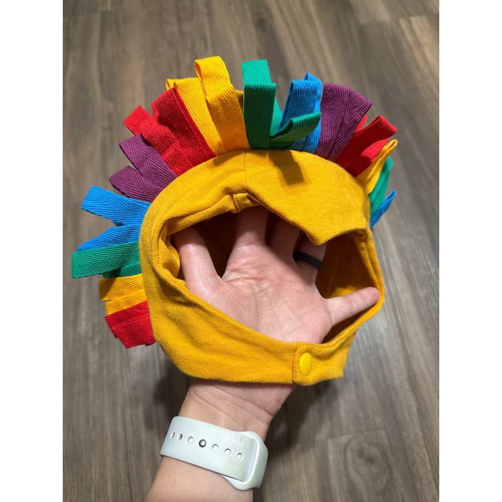 Band of the Wild Rainbow Lion Costume Hat Size Small 9-12 Months‎